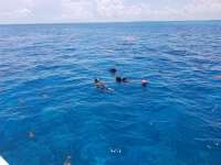 Great day of scuba diving in Key Largo with Rainbow Reef on fire coral cave tropical destiny 2018 07 03 r6401 1