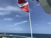 Great day of scuba diving in Key Largo with Rainbow Reef on fire coral cave tropical destiny 2018 07 17 r6550 1