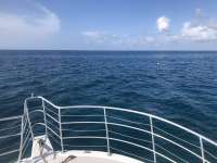 Great day of scuba diving in Key Largo with Rainbow Reef on fire coral cave tropical legend 2018 07 11 r6489 1