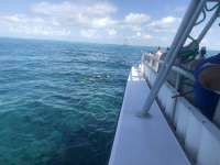 Great day of scuba diving in Key Largo with Rainbow Reef on fire coral cave tropical legend 2018 07 13 r6512 1