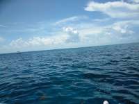 Great day of scuba diving in Key Largo with Rainbow Reef on french reef tropical explorer 2018 07 16 r6541 1