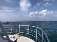 Great day of scuba diving in Key Largo with Rainbow Reef on french reef tropical legend 2018 07 28 r6674 1