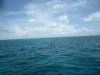 Great day of scuba diving in Key Largo with Rainbow Reef on french reef tropical voyager 2018 07 22 r6612 1