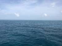 Great day of scuba diving in Key Largo with Rainbow Reef on french reef tropical voyager 2018 07 28 r6679 1
