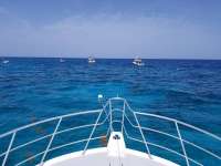 Great day of scuba diving in Key Largo with Rainbow Reef on hole in the wall tropical adventure 2018 07 07 r6453 1
