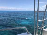 Great day of scuba diving in Key Largo with Rainbow Reef on minnow cave tropical odyssey 2018 07 03 r6403 1