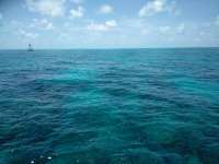 Great day of scuba diving in Key Largo with Rainbow Reef on molasses reef tropical adventure 2018 07 18 r6559 1