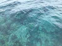 Great day of scuba diving in Key Largo with Rainbow Reef on molasses reef tropical adventure 2018 07 20 r6588 1