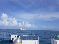 Great day of scuba diving in Key Largo with Rainbow Reef on molasses reef tropical explorer 2018 07 18 r6556 1