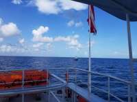 Great day of scuba diving in Key Largo with Rainbow Reef on molasses reef tropical legend 2018 07 02 r6386 1