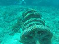 Great day of scuba diving in Key Largo with Rainbow Reef on molasses reef tropical legend 2018 07 16 r6537 1
