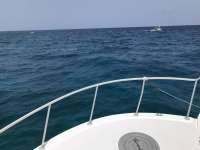 Great day of scuba diving in Key Largo with Rainbow Reef on molasses reef tropical serenity 2018 07 06 r6438 1