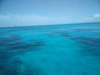 Great day of scuba diving in Key Largo with Rainbow Reef on molasses reef tropical voyager 2018 07 19 r6575 1