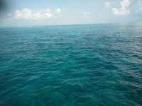 Great day of scuba diving in Key Largo with Rainbow Reef on molasses reef tropical voyager 2018 07 26 r6651 1