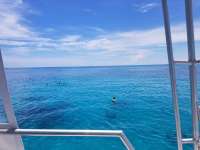 Great day of scuba diving in Key Largo with Rainbow Reef on north dry rocks tropical destiny 2018 07 15 r6531 1