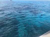 Great day of scuba diving in Key Largo with Rainbow Reef on north dry rocks tropical legend 2018 07 04 r6415 1