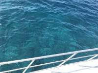 Great day of scuba diving in Key Largo with Rainbow Reef on north star tropical adventure 2018 07 26 r6653 1