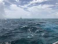 Great day of scuba diving in Key Largo with Rainbow Reef on north star tropical odyssey 2018 07 31 r6706 1