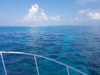 Great day of scuba diving in Key Largo with Rainbow Reef on north star tropical serenity 2018 07 26 r6650 1