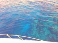 Great day of scuba diving in Key Largo with Rainbow Reef on north star tropical voyager 2018 07 20 r6586 1