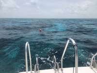 Great day of scuba diving in Key Largo with Rainbow Reef on pickle barrel wreck tropical serenity 2018 07 07 r6452 1
