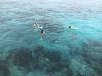 Great day of scuba diving in Key Largo with Rainbow Reef on pickles reef tropical serenity 2018 07 29 r6694 1