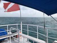 Great day of scuba diving in Key Largo with Rainbow Reef on pillar coral tropical adventure 2018 07 06 r6432 1