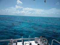 Great day of scuba diving in Key Largo with Rainbow Reef on sand island tropical voyager 2018 07 01 r6383 1
