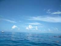 Great day of scuba diving in Key Largo with Rainbow Reef on sand island tropical voyager 2018 07 04 r6411 1