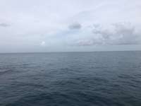 Great day of scuba diving in Key Largo with Rainbow Reef on snapper ledge tropical legend 2018 07 20 r6584 1