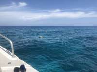 Great day of scuba diving in Key Largo with Rainbow Reef on snapper ledge tropical serenity 2018 07 01 r6380 1