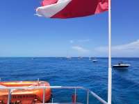 Great day of scuba diving in Key Largo with Rainbow Reef on spanish anchor tropical legend 2018 07 19 r6571 1