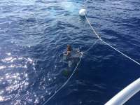 Great day of scuba diving in Key Largo with Rainbow Reef on spiegel grove tropical odyssey 2018 07 01 r6377 1