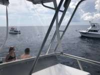 Great day of scuba diving in Key Largo with Rainbow Reef on spiegel grove tropical odyssey 2018 07 03 r6399 1