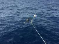Great day of scuba diving in Key Largo with Rainbow Reef on spiegel grove tropical odyssey 2018 07 07 r6447 1
