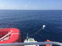 Great day of scuba diving in Key Largo with Rainbow Reef on spiegel grove tropical odyssey 2018 07 10 r6478 1