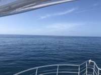 Great day of scuba diving in Key Largo with Rainbow Reef on spiegel grove tropical odyssey 2018 07 19 r6567 1