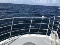 Great day of scuba diving in Key Largo with Rainbow Reef on spiegel grove tropical odyssey 2018 07 21 r6596 1