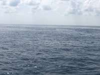 Great day of scuba diving in Key Largo with Rainbow Reef on spiegel grove tropical odyssey 2018 07 26 r6652 1
