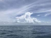 Great day of scuba diving in Key Largo with Rainbow Reef on spiegel grove tropical odyssey 2018 07 28 r6677 1