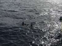 Great day of scuba diving in Key Largo with Rainbow Reef on uscgc duane tropical destiny 2018 07 07 r6441 1