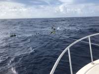Great day of scuba diving in Key Largo with Rainbow Reef on uscgc duane tropical destiny 2018 07 31 r6701 1