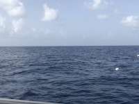 Great day of scuba diving in Key Largo with Rainbow Reef on uscgc duane tropical odyssey 2018 07 06 r6431 1