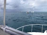 Great day of scuba diving in Key Largo with Rainbow Reef on winch hole tropical destiny 2018 07 22 r6611 1