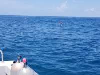 Great day of scuba diving in Key Largo with Rainbow Reef on woodys tropical explorer 2018 07 18 r6560 1