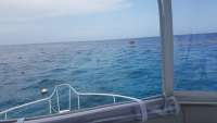 Great day of scuba diving in Key Largo with Rainbow Reef on benwood wreck santana 2018 06 16 r6210 1