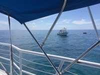 Great day of scuba diving in Key Largo with Rainbow Reef on benwood wreck tropical adventure 2018 06 03 r6060 1