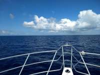 Great day of scuba diving in Key Largo with Rainbow Reef on benwood wreck tropical adventure 2018 06 04 r6073 1