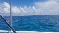 Great day of scuba diving in Key Largo with Rainbow Reef on benwood wreck tropical adventure 2018 06 18 r6237 1