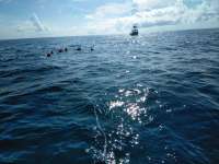 Great day of scuba diving in Key Largo with Rainbow Reef on benwood wreck tropical explorer 2018 06 03 r6053 1